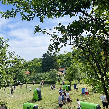 Vila Davidovic-Fruska Gora Mandelos Екстер'єр фото