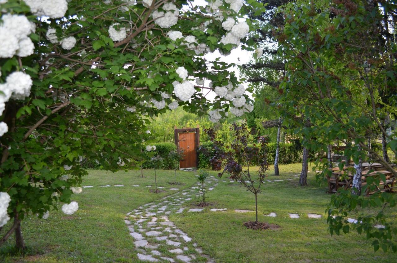 Vila Davidovic-Fruska Gora Mandelos Екстер'єр фото