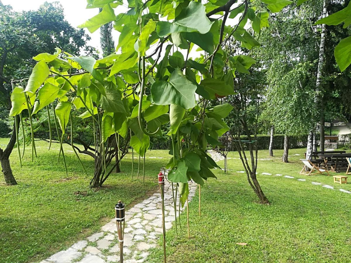 Vila Davidovic-Fruska Gora Mandelos Екстер'єр фото