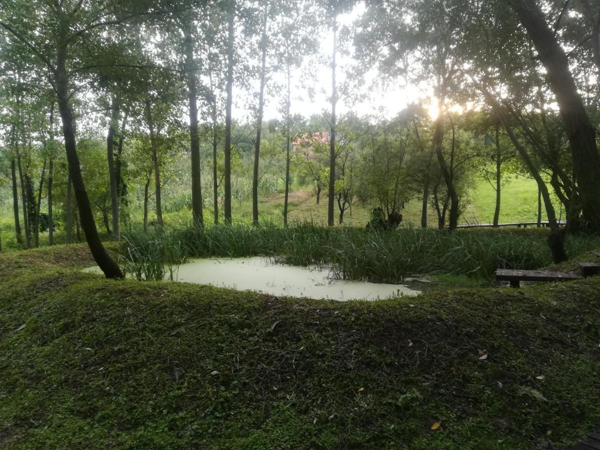 Vila Davidovic-Fruska Gora Mandelos Екстер'єр фото