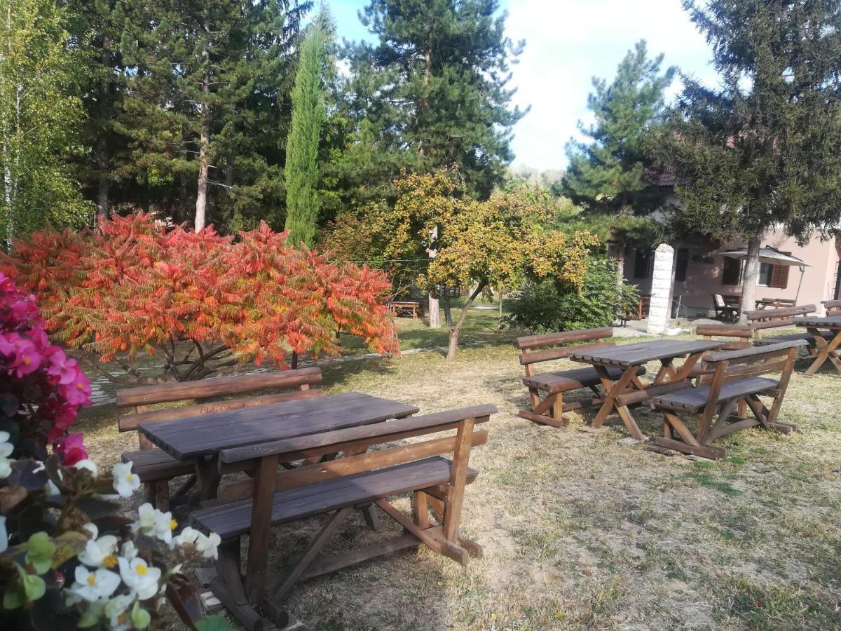 Vila Davidovic-Fruska Gora Mandelos Екстер'єр фото
