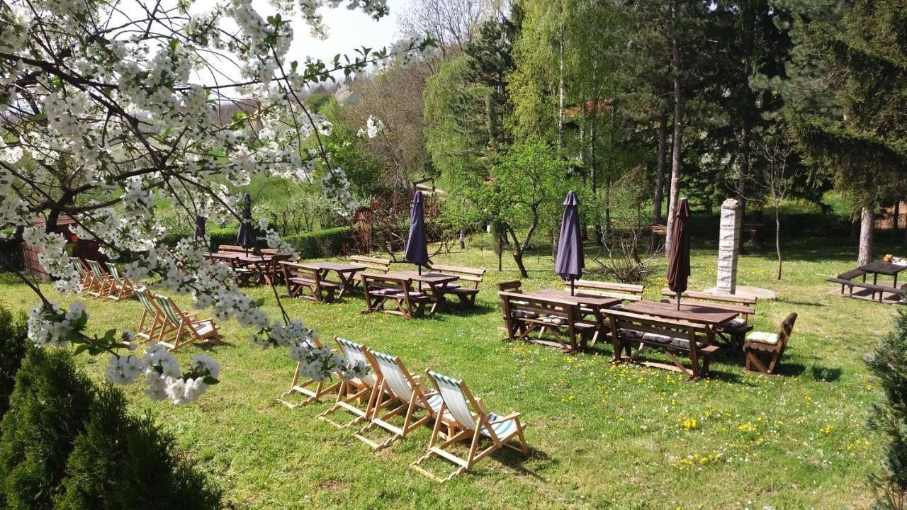 Vila Davidovic-Fruska Gora Mandelos Екстер'єр фото