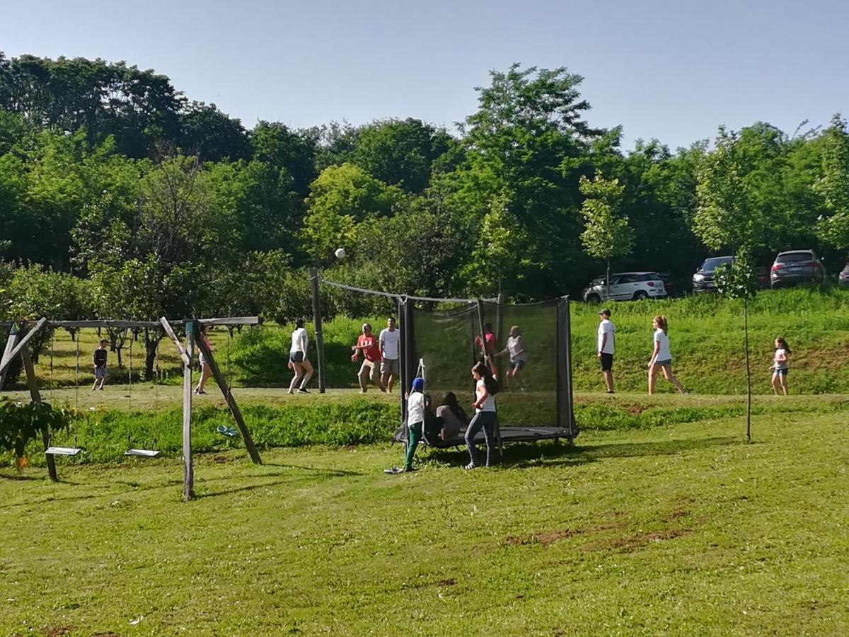 Vila Davidovic-Fruska Gora Mandelos Екстер'єр фото