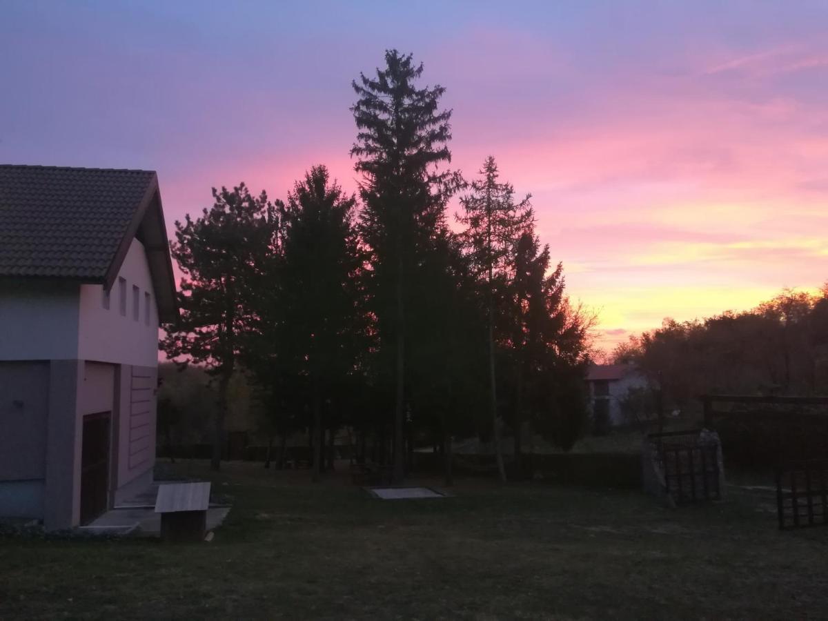 Vila Davidovic-Fruska Gora Mandelos Екстер'єр фото