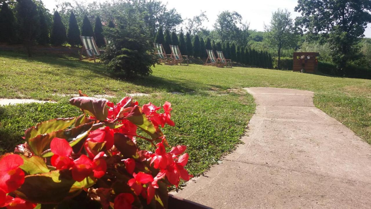 Vila Davidovic-Fruska Gora Mandelos Екстер'єр фото