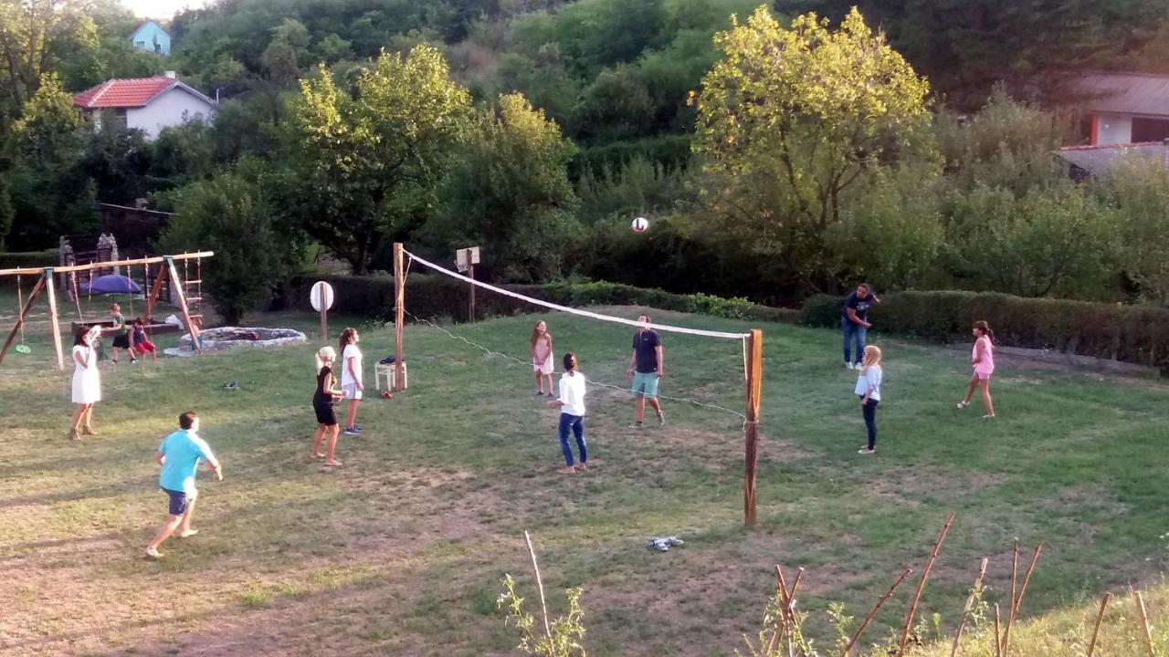 Vila Davidovic-Fruska Gora Mandelos Екстер'єр фото