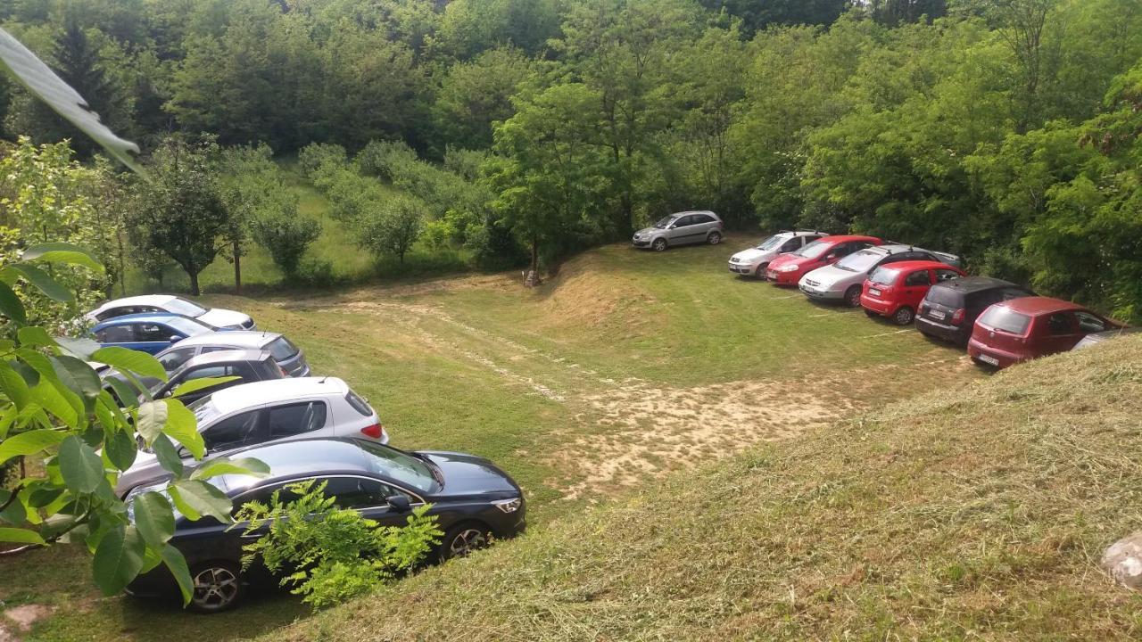 Vila Davidovic-Fruska Gora Mandelos Екстер'єр фото