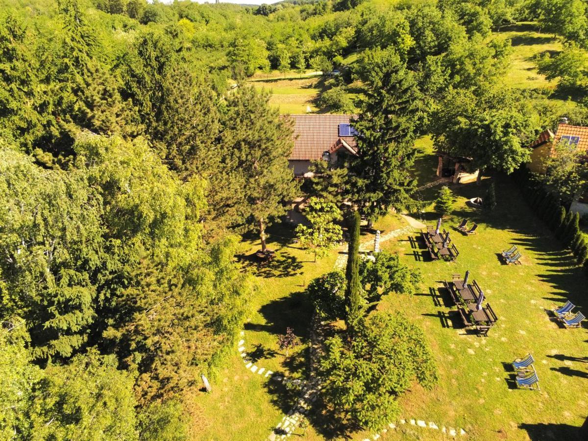 Vila Davidovic-Fruska Gora Mandelos Екстер'єр фото