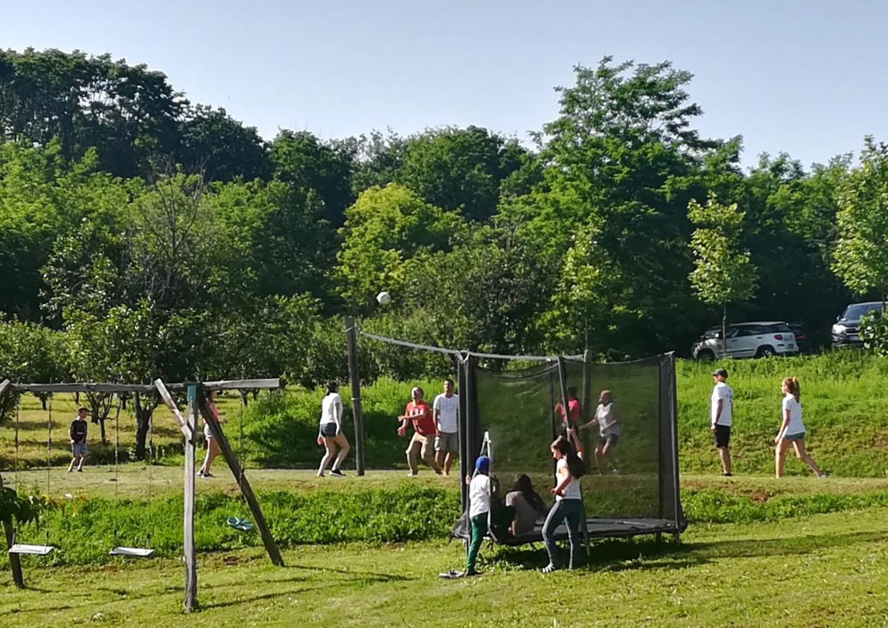 Vila Davidovic-Fruska Gora Mandelos Екстер'єр фото