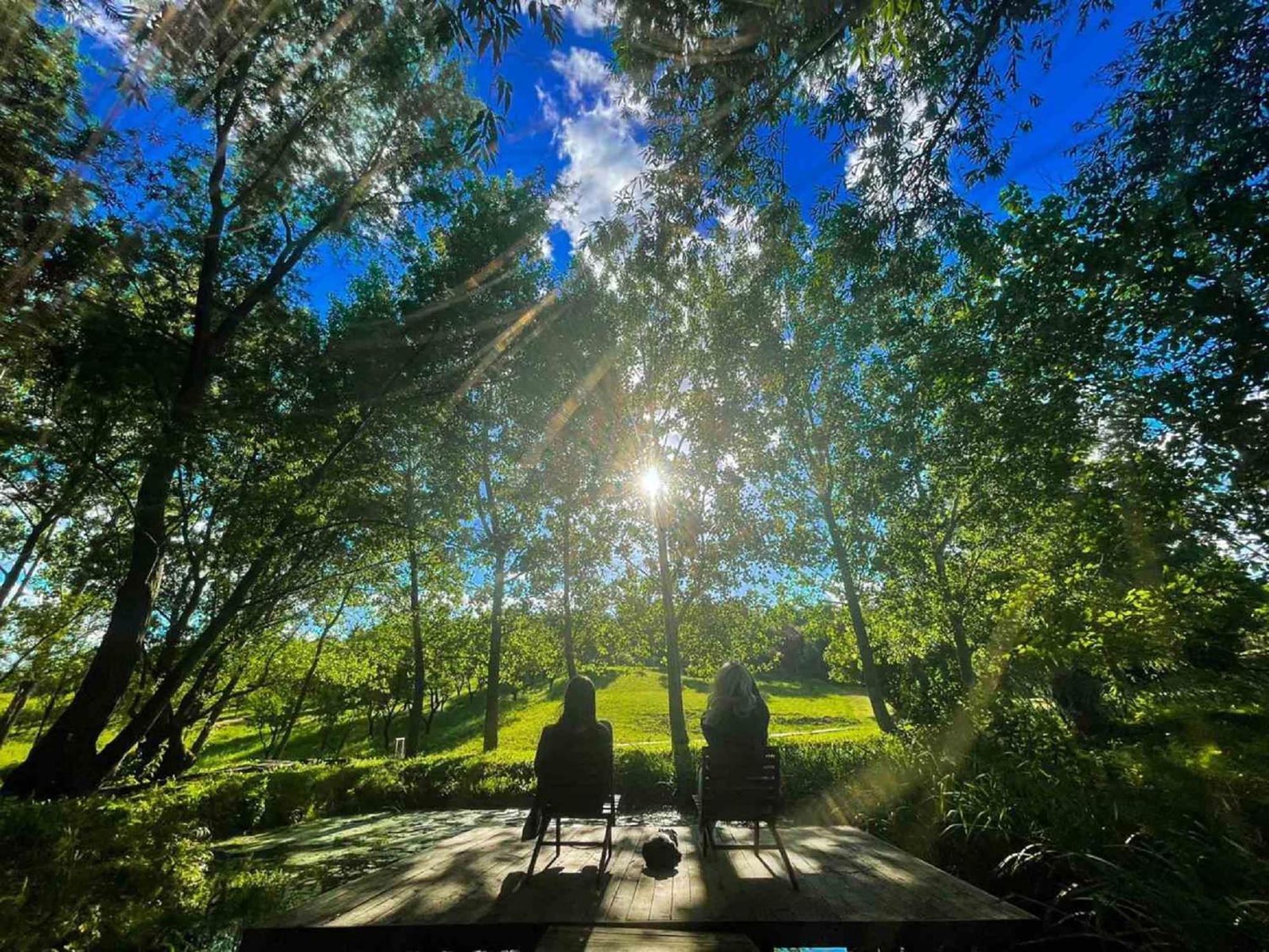 Vila Davidovic-Fruska Gora Mandelos Екстер'єр фото