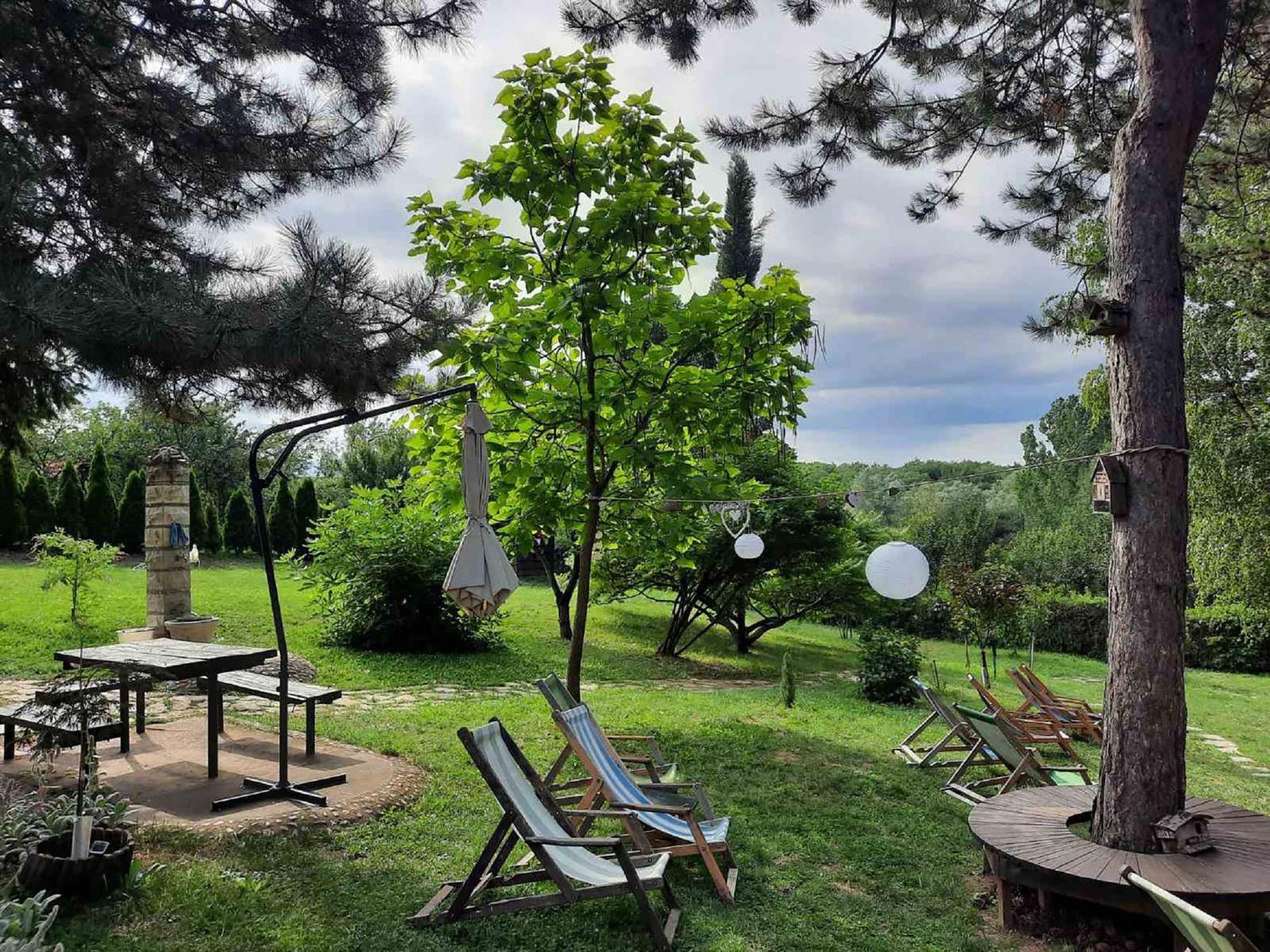 Vila Davidovic-Fruska Gora Mandelos Екстер'єр фото