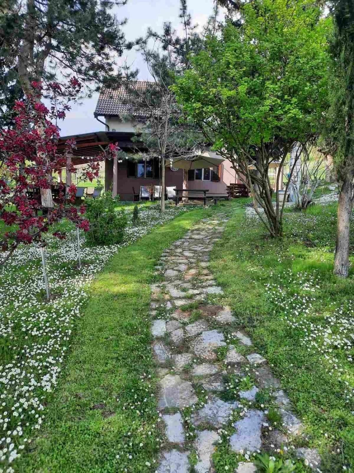 Vila Davidovic-Fruska Gora Mandelos Екстер'єр фото