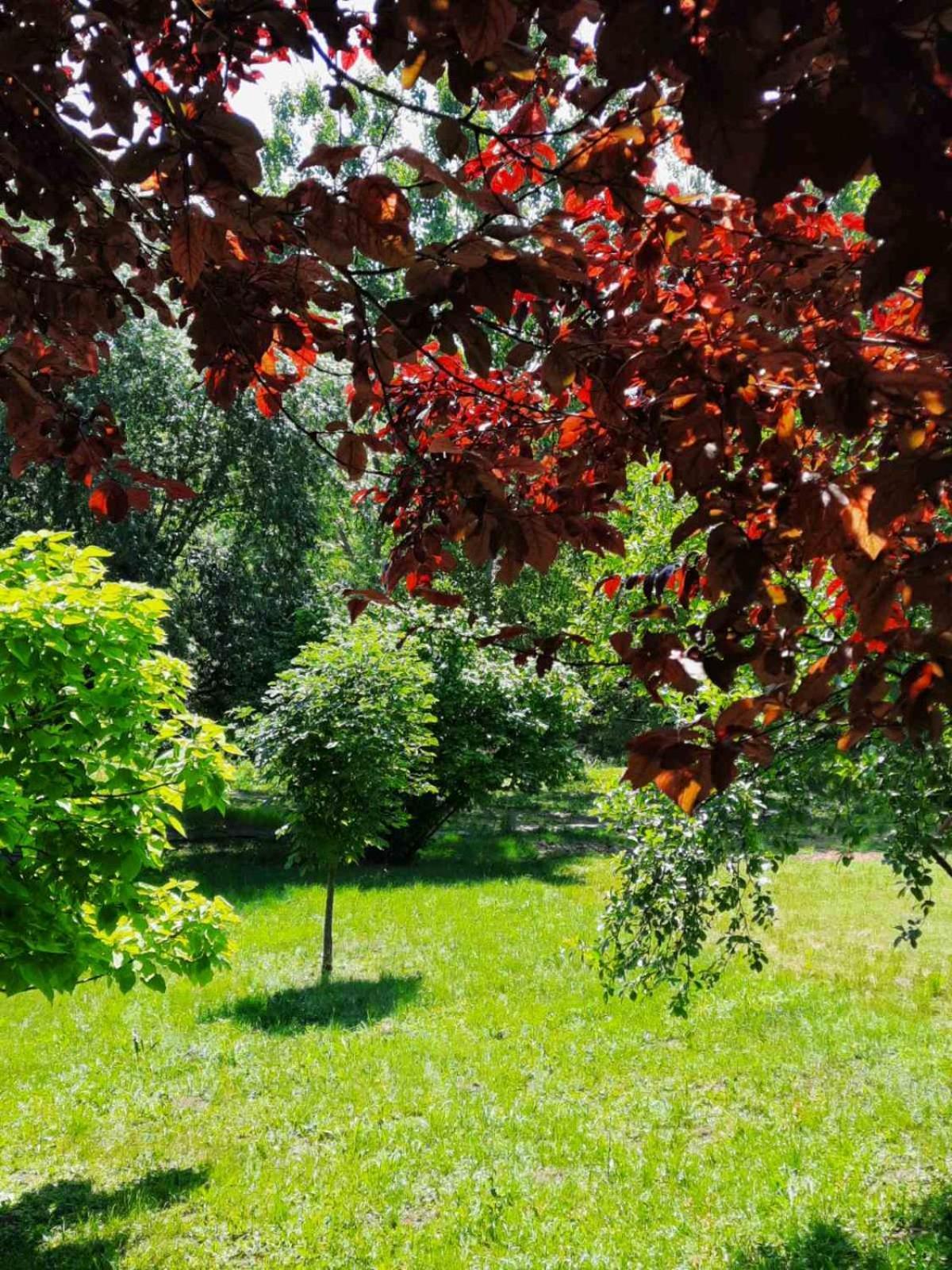 Vila Davidovic-Fruska Gora Mandelos Екстер'єр фото
