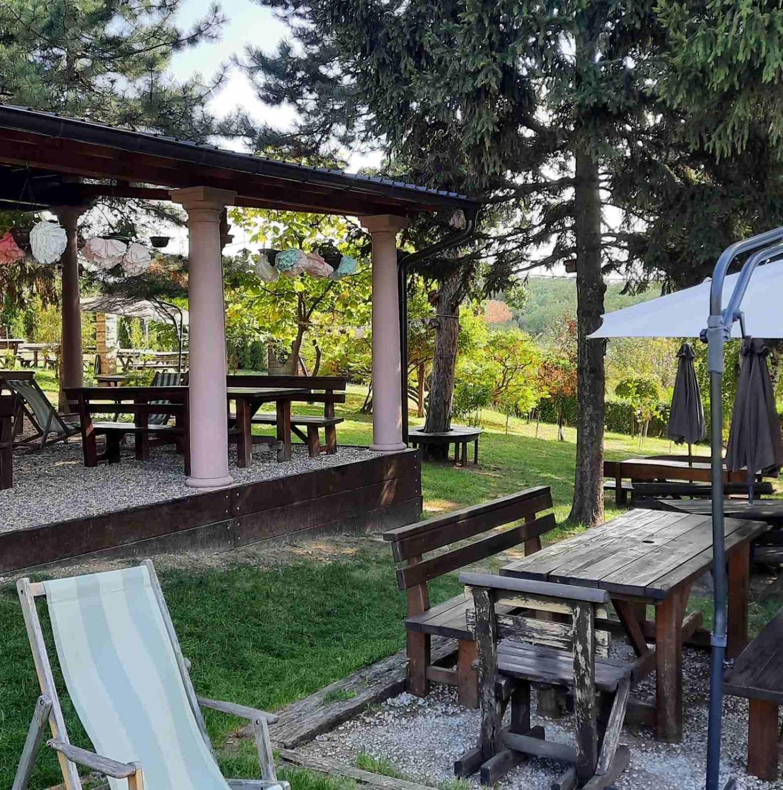 Vila Davidovic-Fruska Gora Mandelos Екстер'єр фото