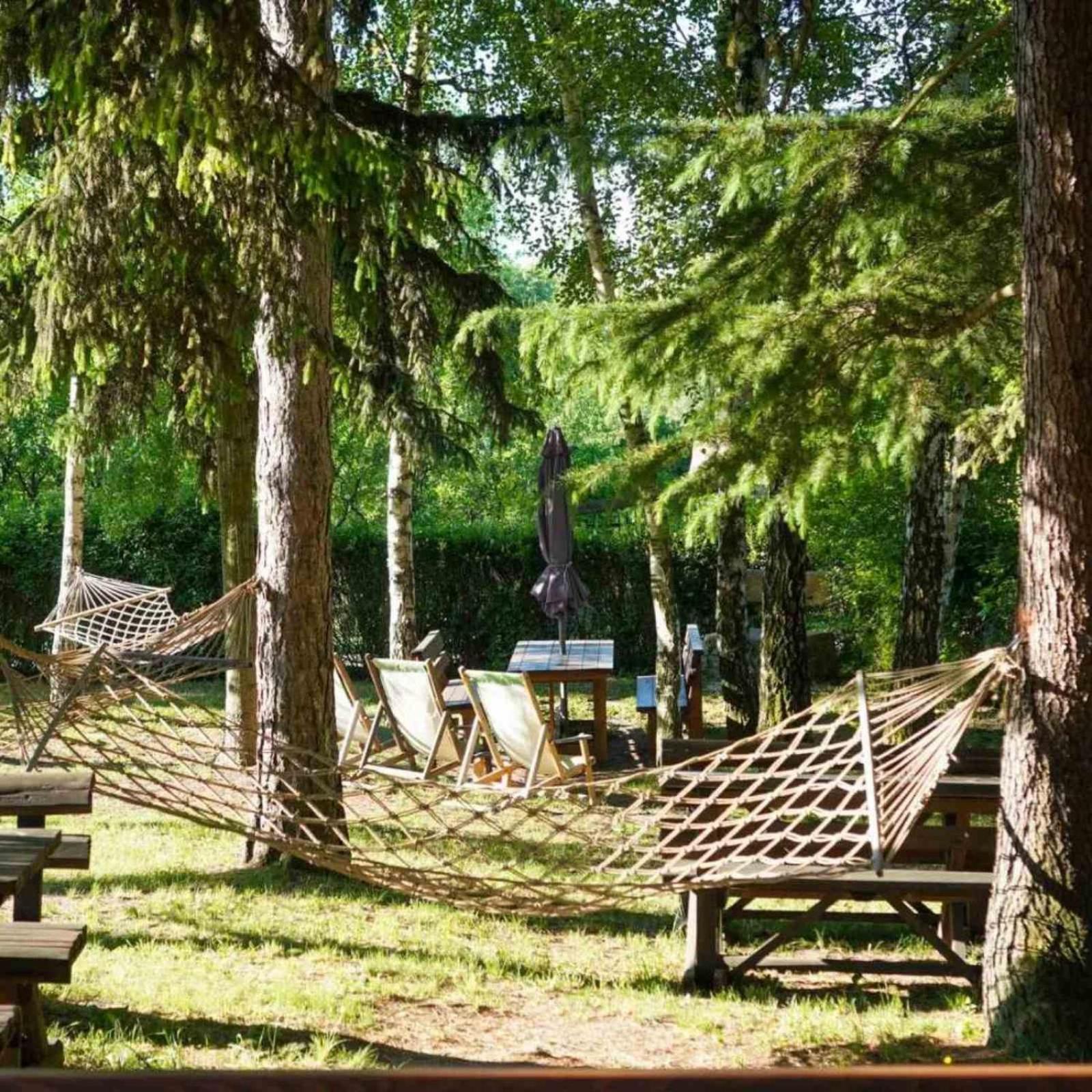Vila Davidovic-Fruska Gora Mandelos Екстер'єр фото