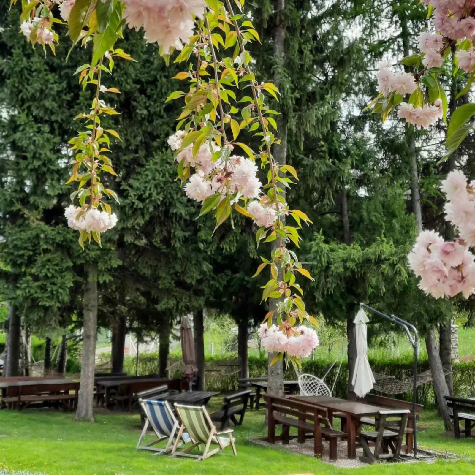 Vila Davidovic-Fruska Gora Mandelos Екстер'єр фото