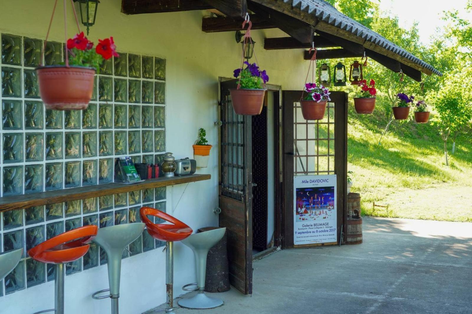 Vila Davidovic-Fruska Gora Mandelos Екстер'єр фото