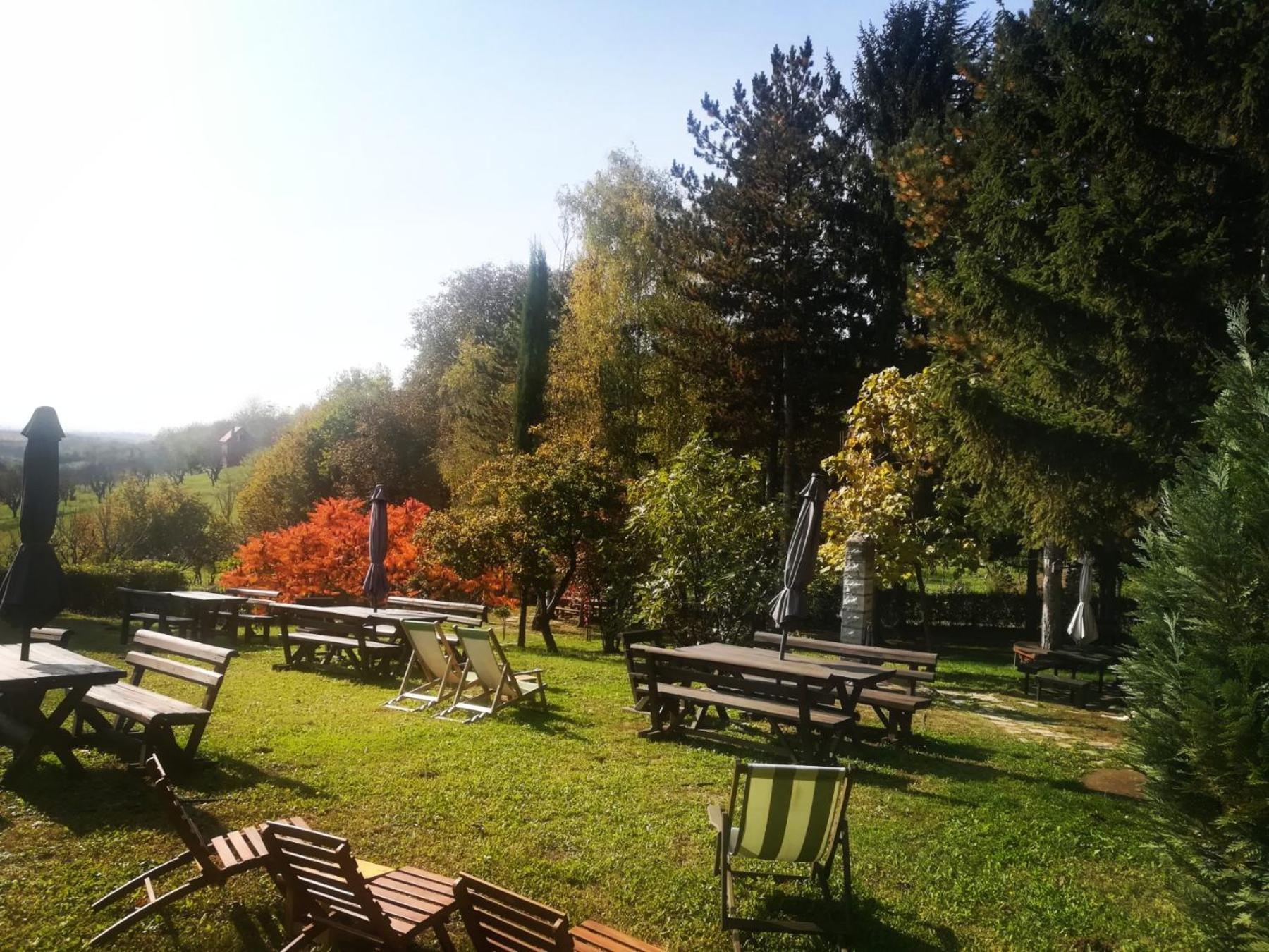 Vila Davidovic-Fruska Gora Mandelos Екстер'єр фото