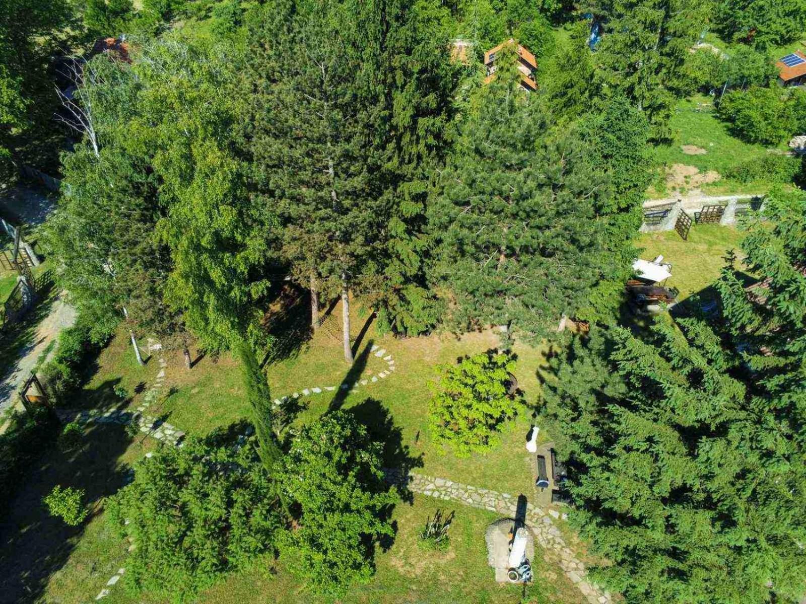 Vila Davidovic-Fruska Gora Mandelos Екстер'єр фото