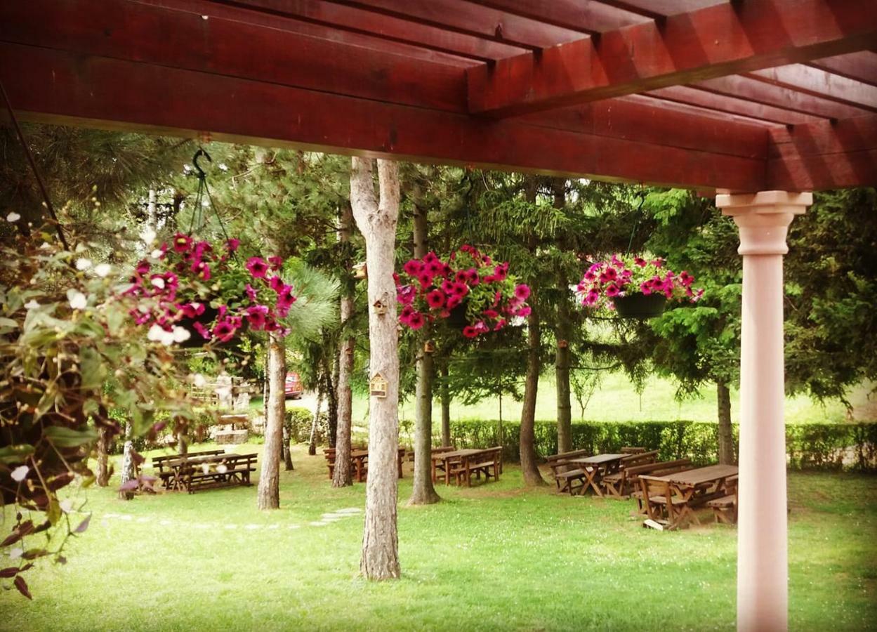 Vila Davidovic-Fruska Gora Mandelos Екстер'єр фото