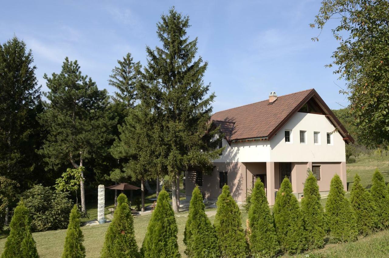 Vila Davidovic-Fruska Gora Mandelos Екстер'єр фото