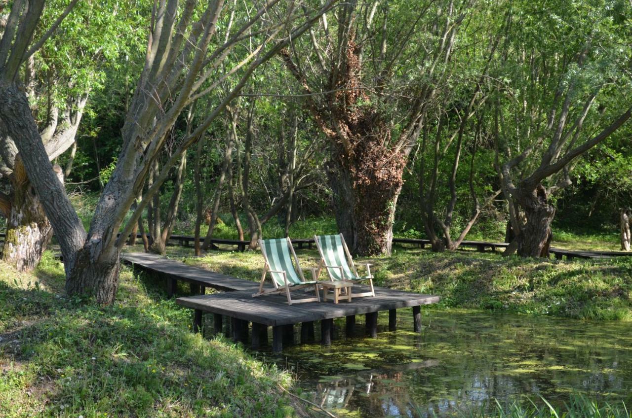 Vila Davidovic-Fruska Gora Mandelos Екстер'єр фото