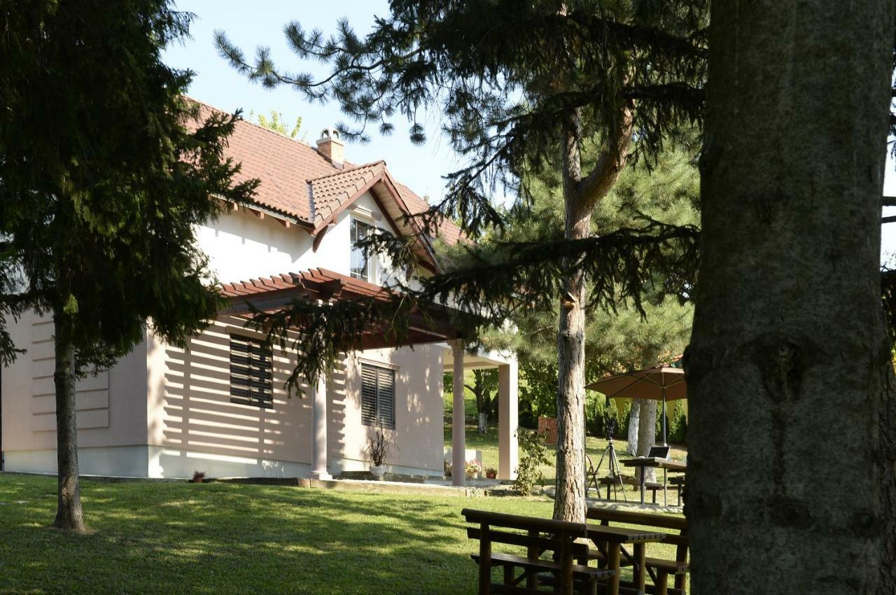 Vila Davidovic-Fruska Gora Mandelos Екстер'єр фото