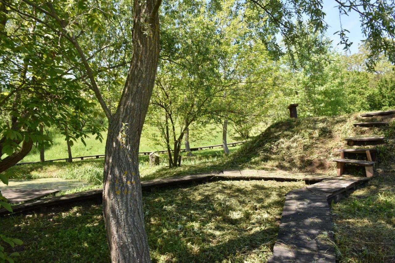 Vila Davidovic-Fruska Gora Mandelos Екстер'єр фото