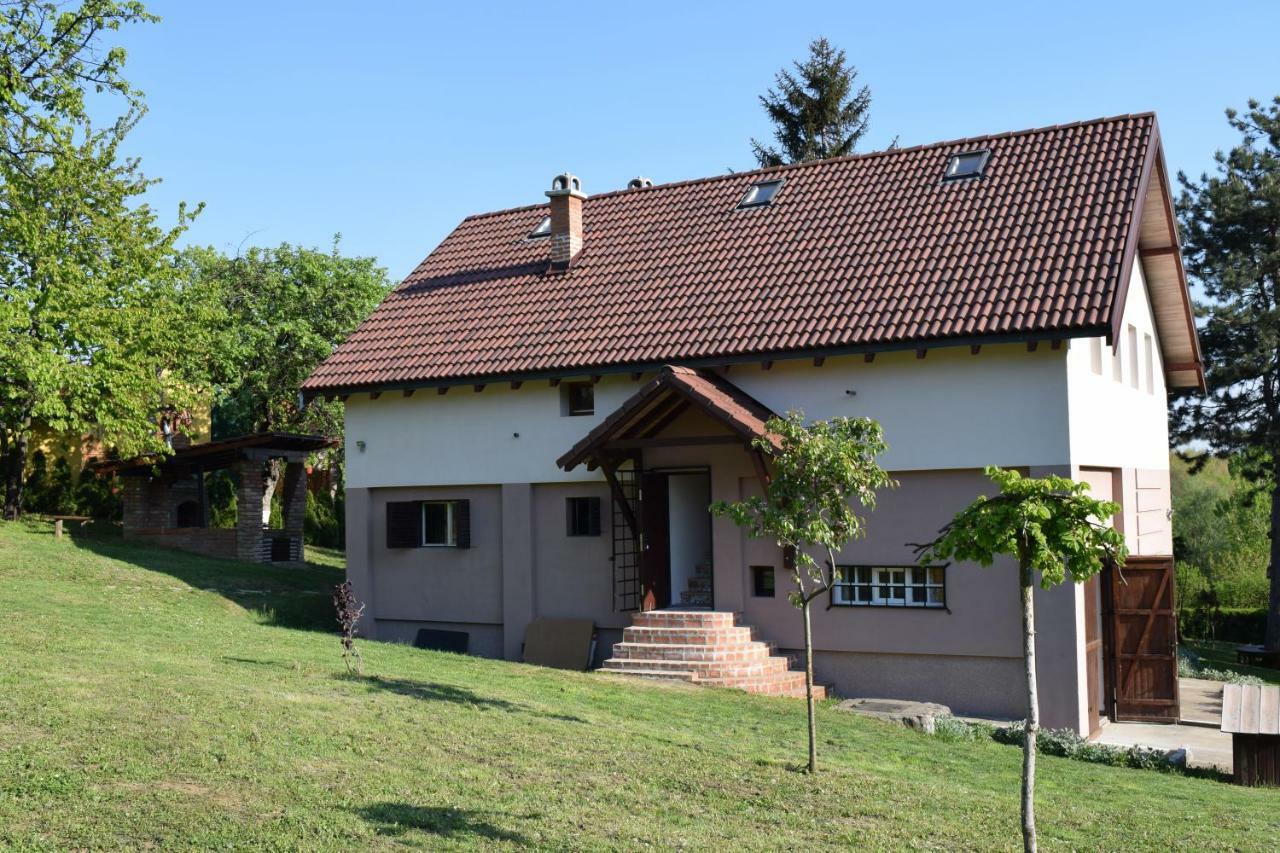 Vila Davidovic-Fruska Gora Mandelos Екстер'єр фото