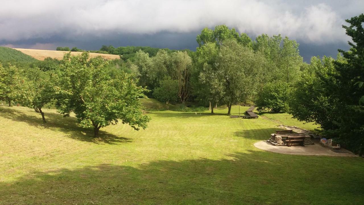 Vila Davidovic-Fruska Gora Mandelos Екстер'єр фото